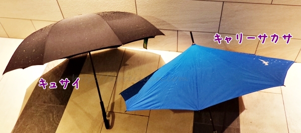 逆さ傘を比較したよ！